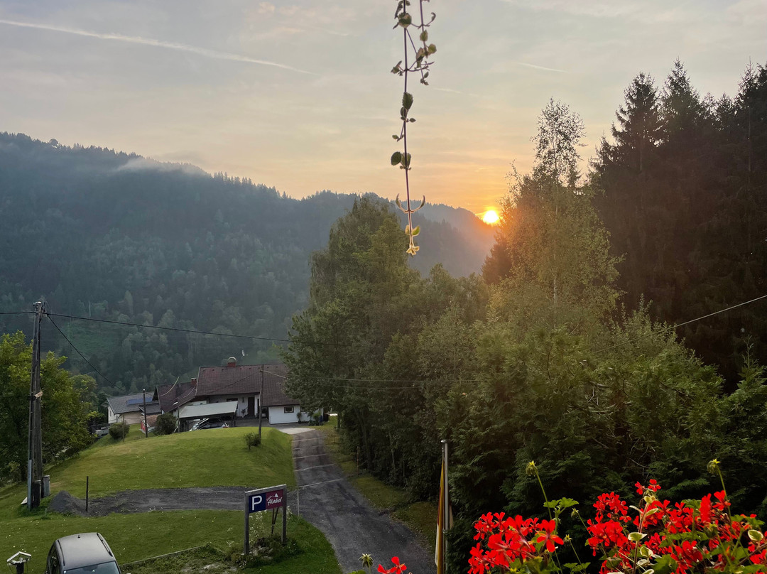 Pension Almhof主图