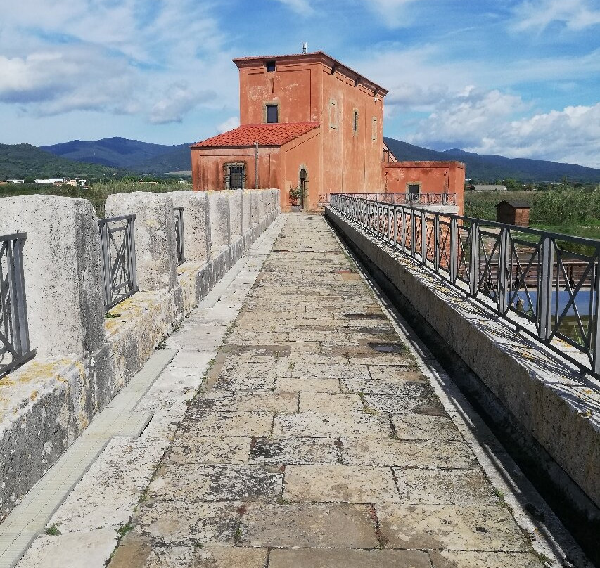 Riserva Naturale Diaccia Botrona景点图片