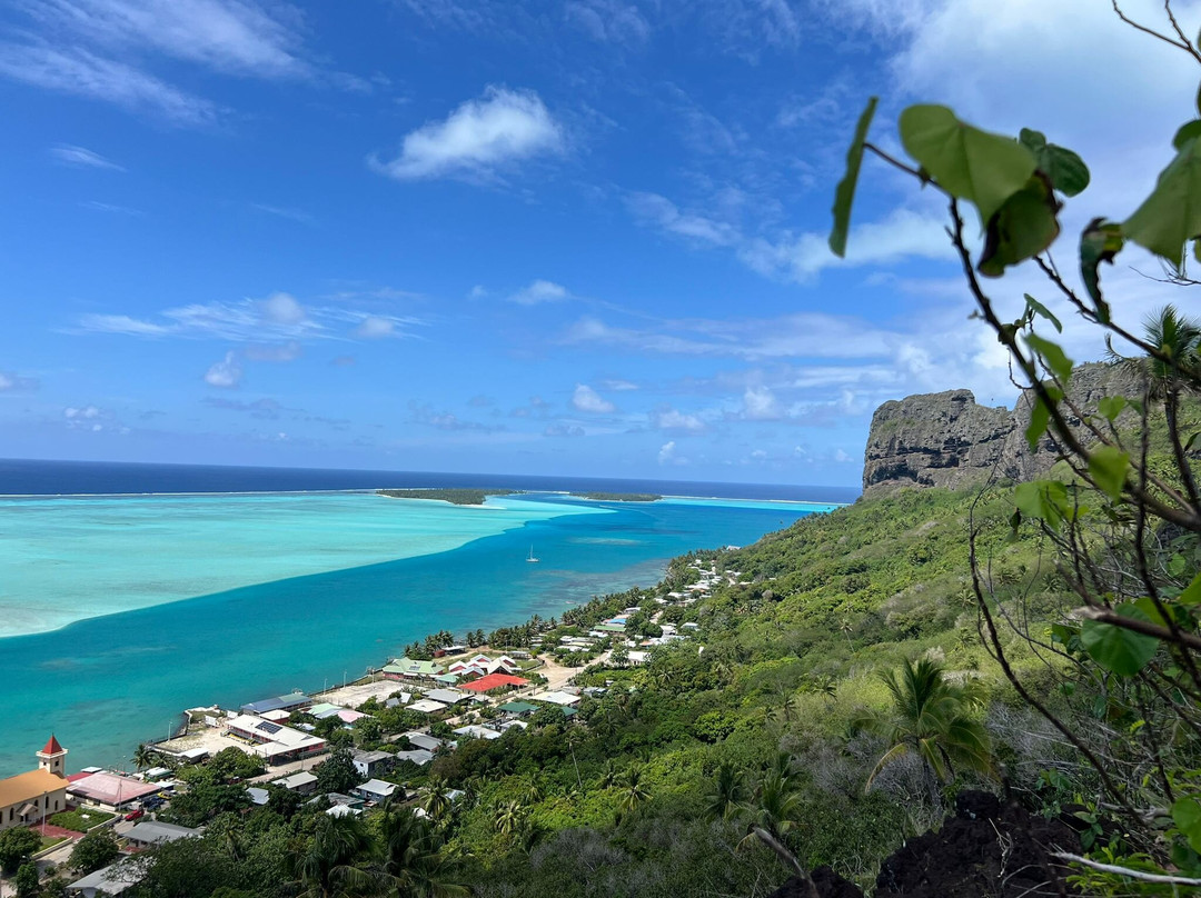 Pension Taputea主图