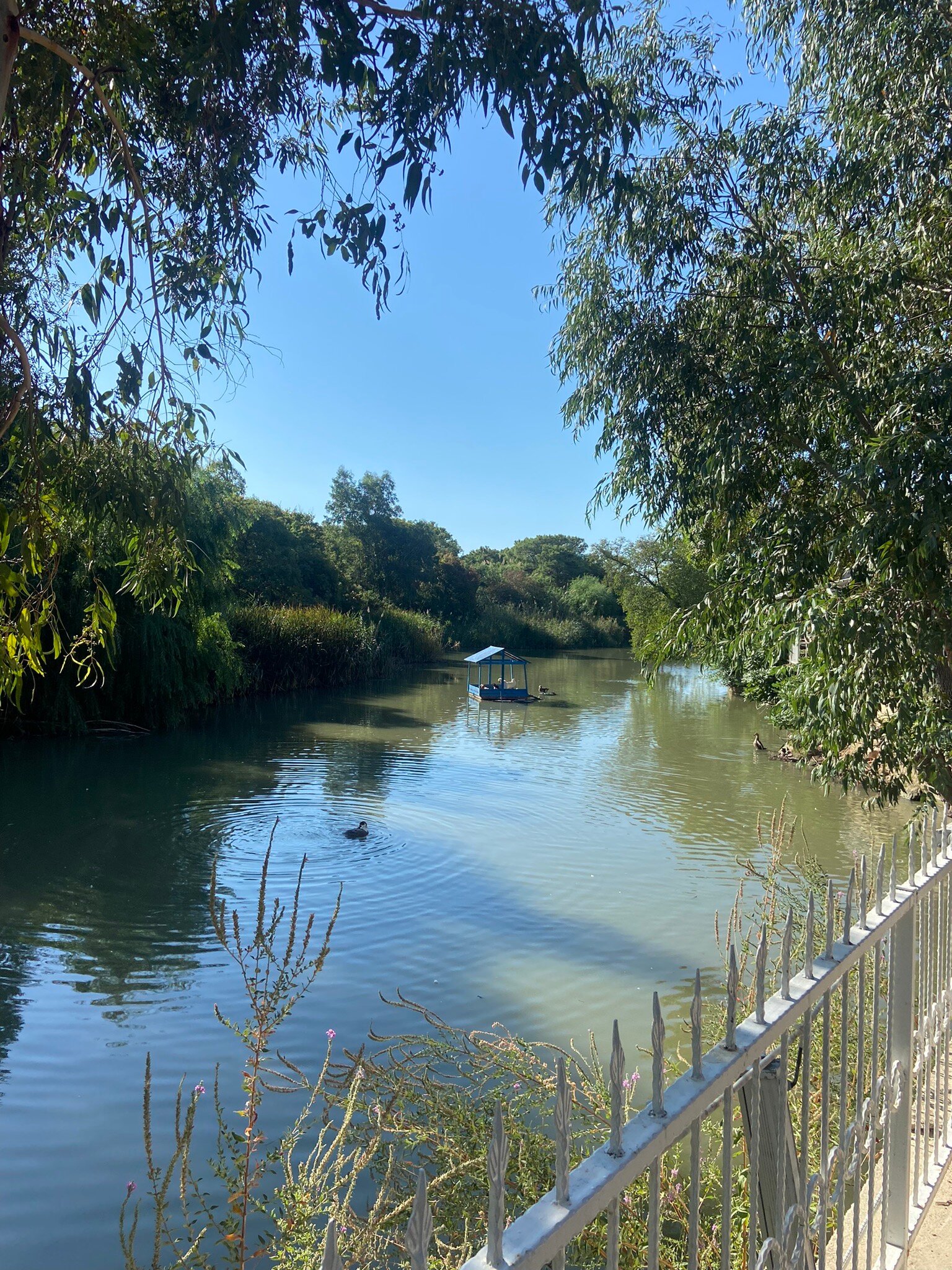 Lemon Park House-官方