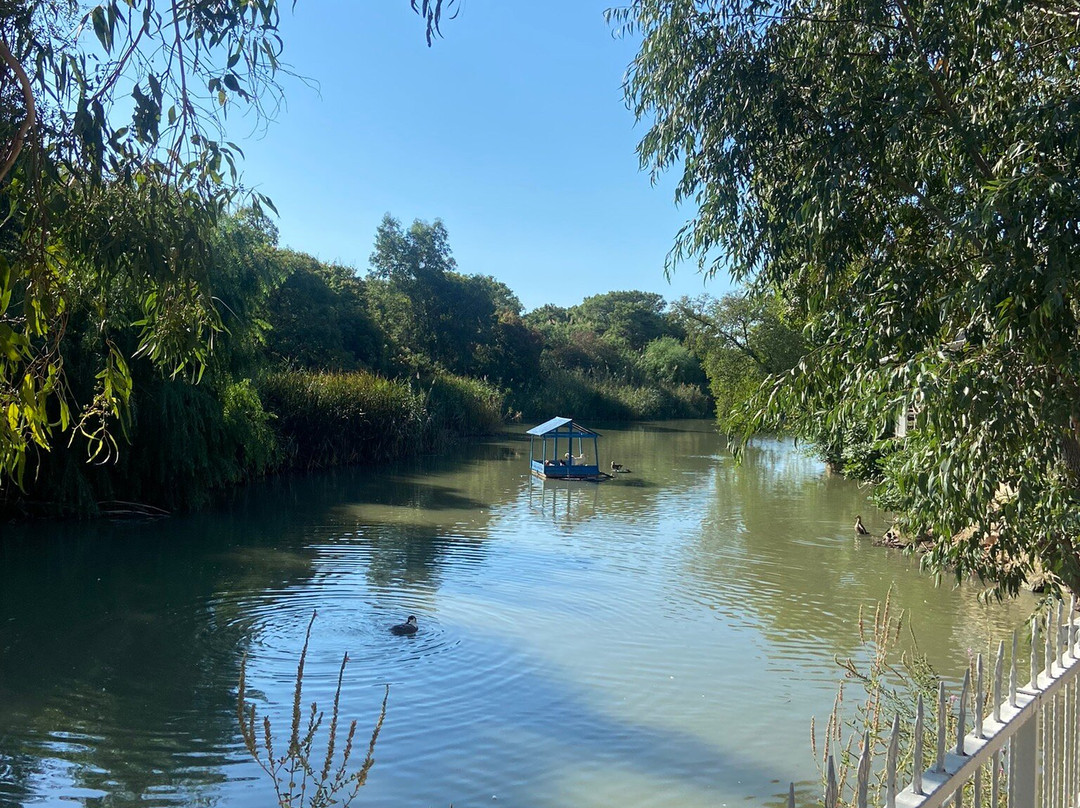 Lemon Park House主图