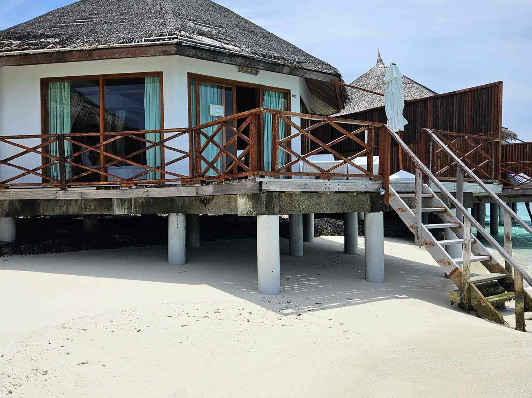 野生动物园岛度假村主图