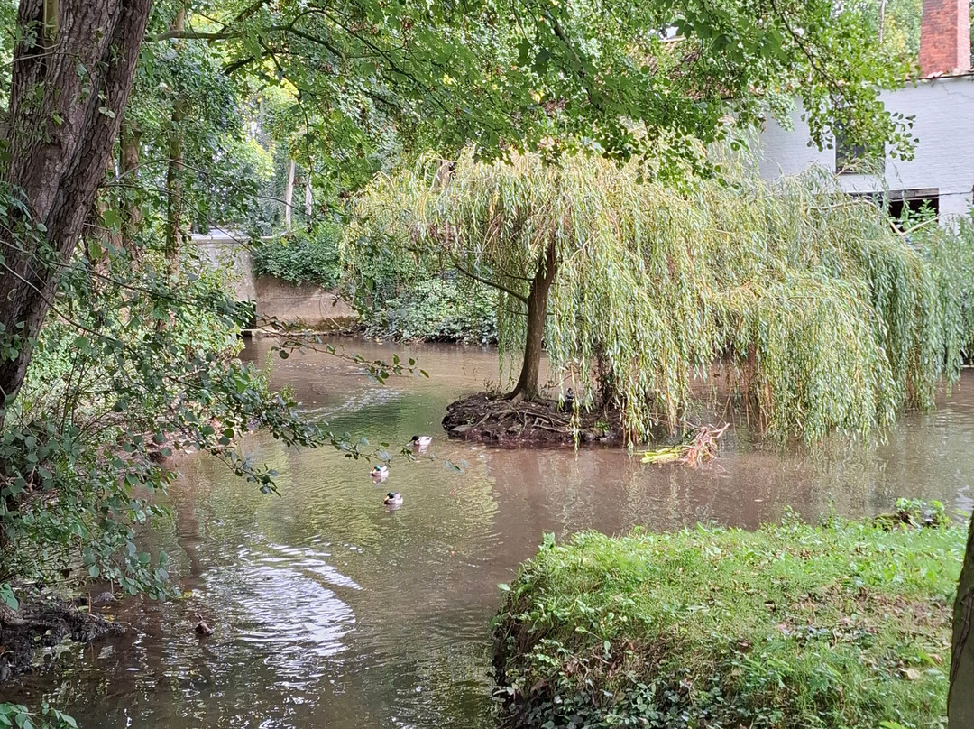 Claythorpe Watermill-Claythorpe必去景点