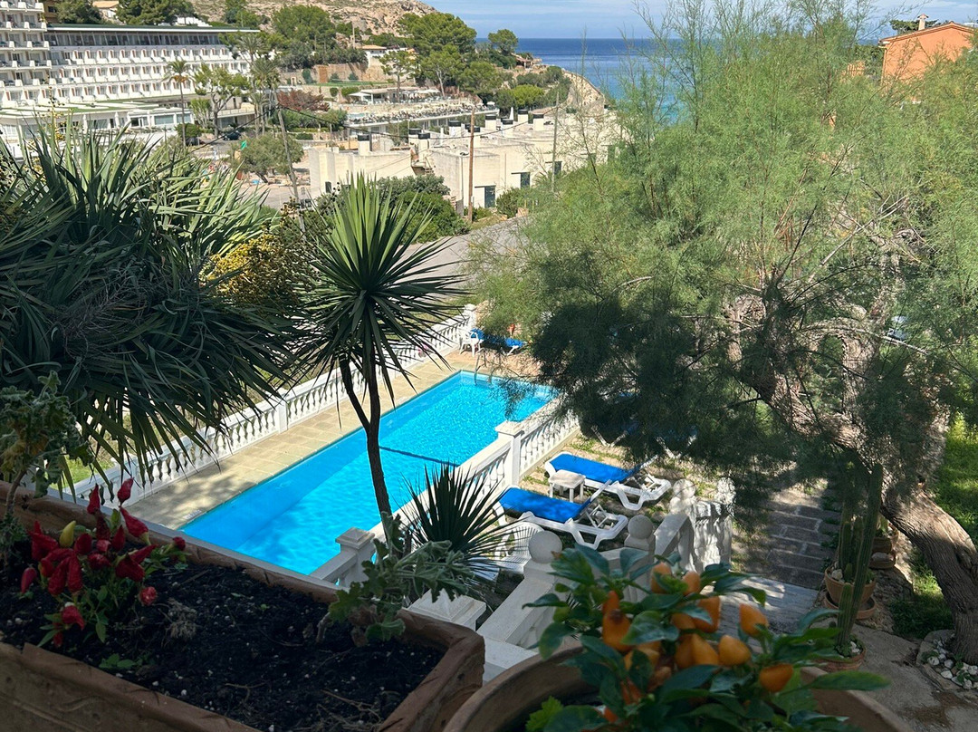 Hostal Los Pinos主图