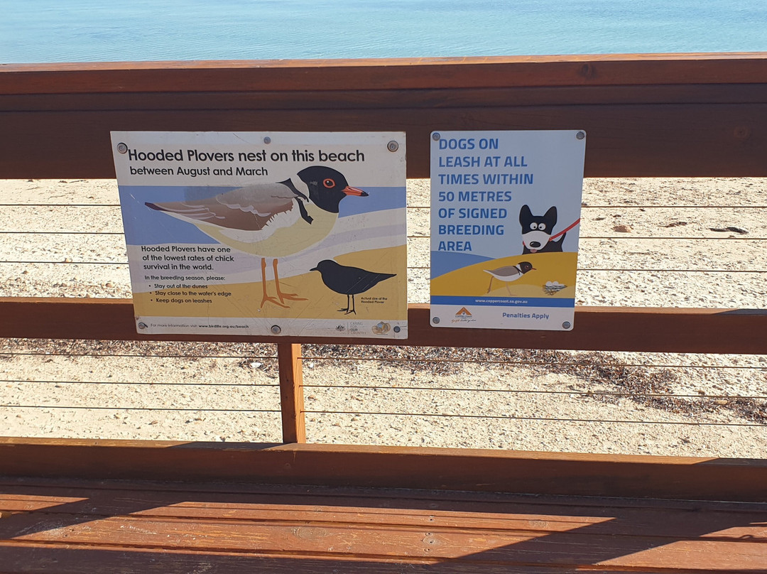 Simms Cove-Moonta必去景点