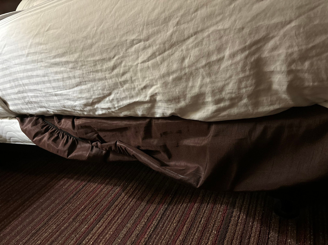 Best Western Plus Chandler Hotel & Suites主图