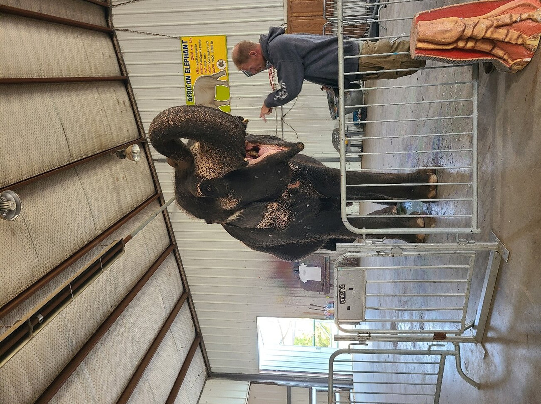 The Endangered Ark Foundation-Hugo必去景点