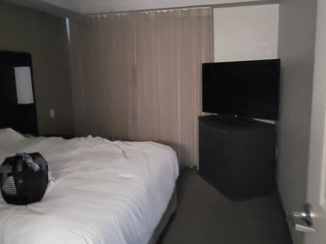 可可海滩卡纳维拉尔角原住客栈主图