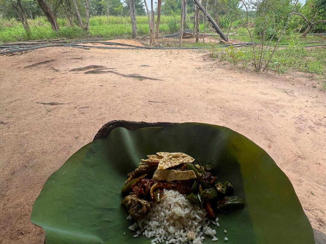 Paradise Route Srilanka景点图片
