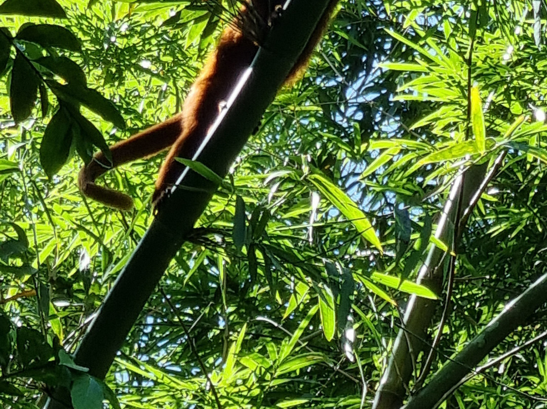 Bamboo Cathedral-Chaguaramas必去景点