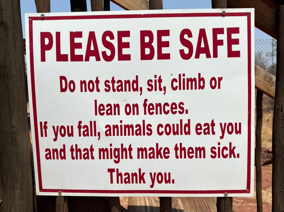 Cheetah Experience (ZA Cheetah Conservation)-贝拉贝拉必去景点