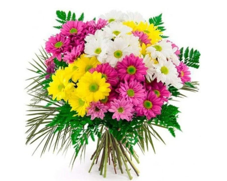 Floristería Menta Y Canela-马德里必去景点