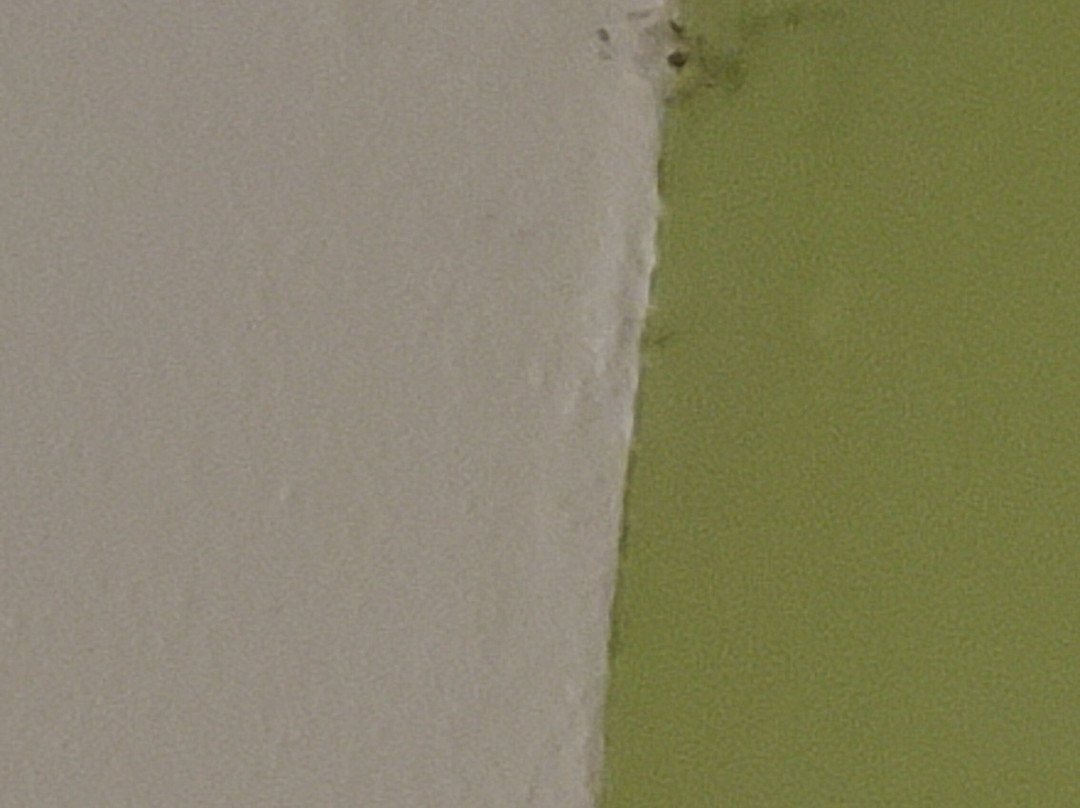 Baymont by Wyndham Florence/Muscle Shoals主图