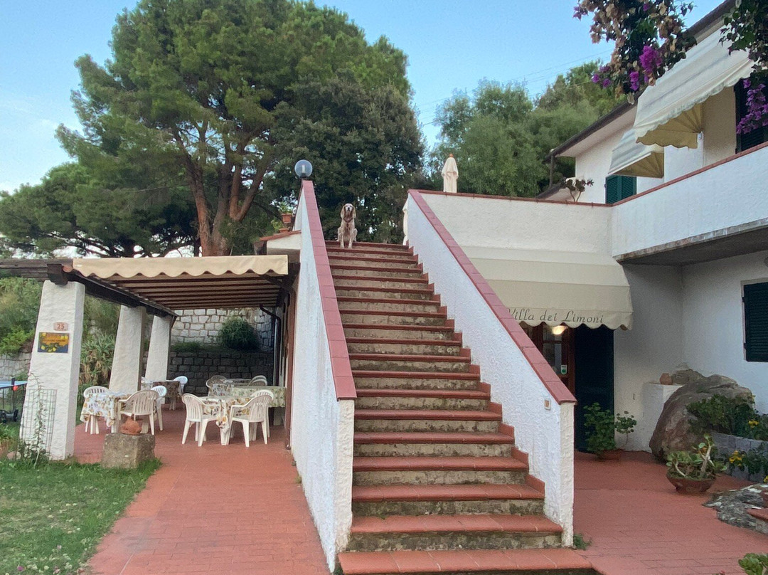 Villa dei Limoni主图