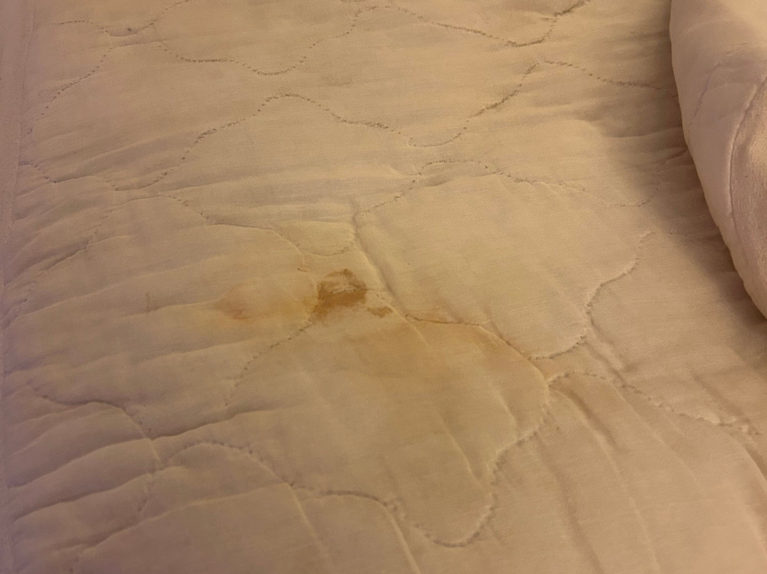 Red Roof Inn Tifton主图