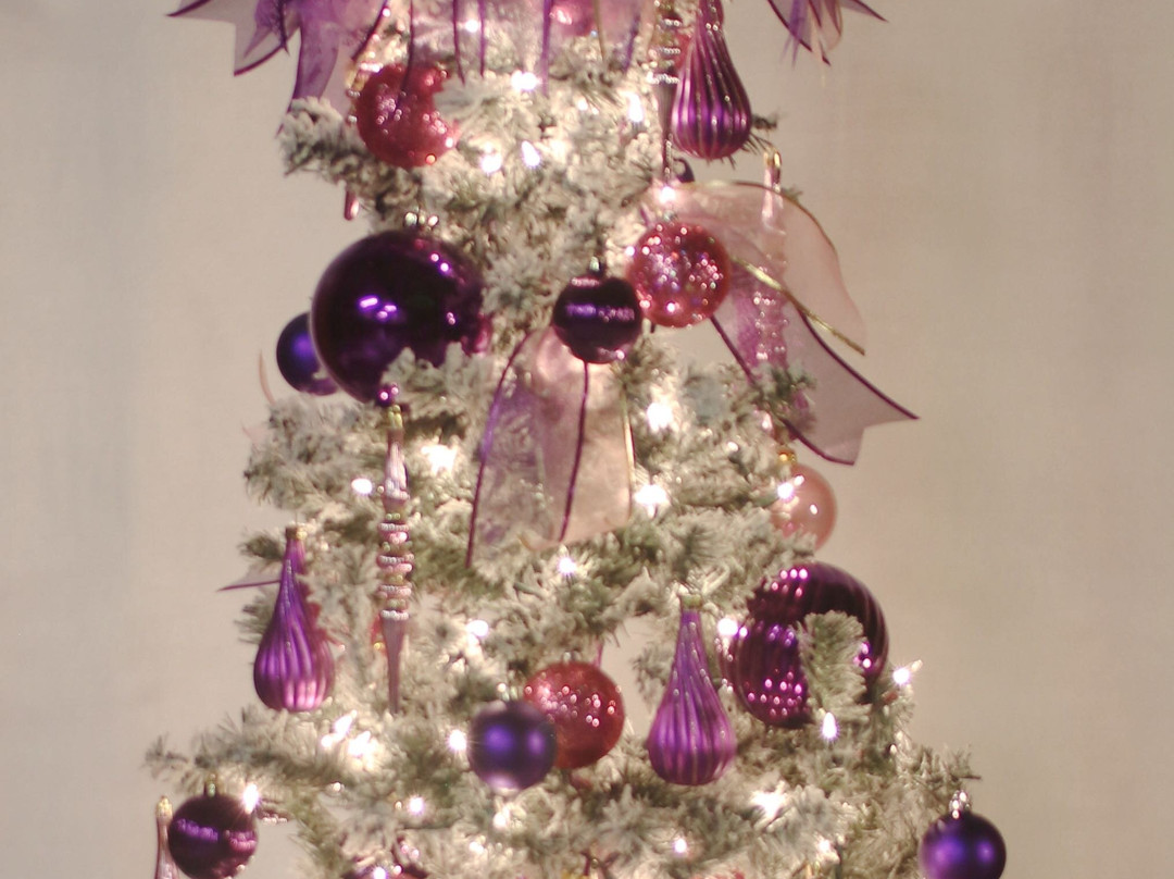 Ohnward Fine Arts Center-Maquoketa必去景点