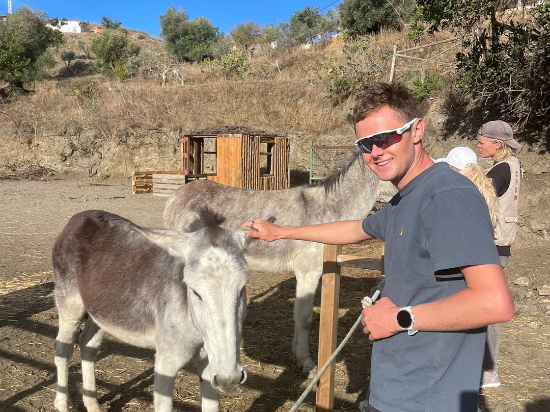 Donkey Dreamland景点图片