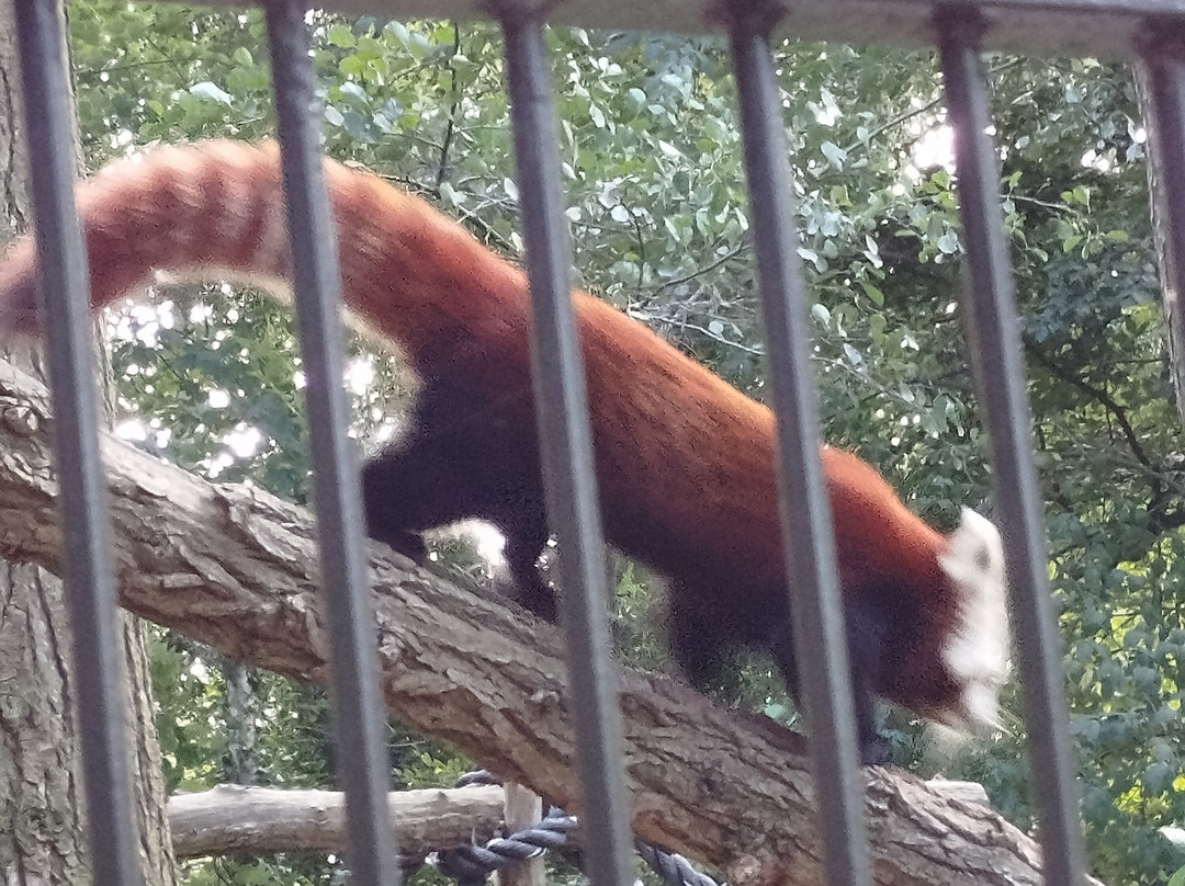 Rostock Zoo景点图片