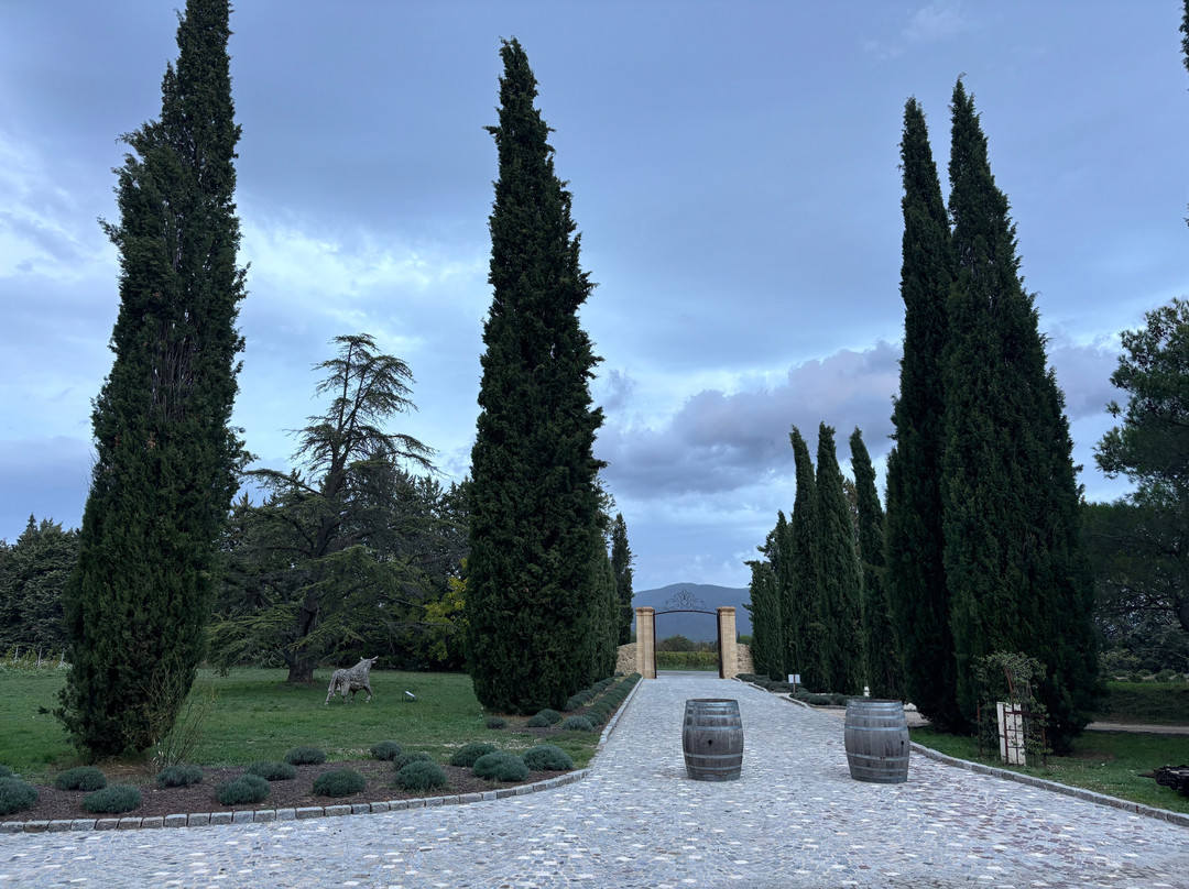 Chateau Saint-Pierre De Mejans景点图片