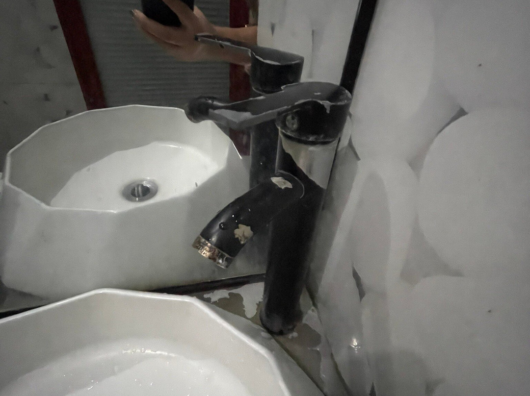 棕榈树酒吧度假村