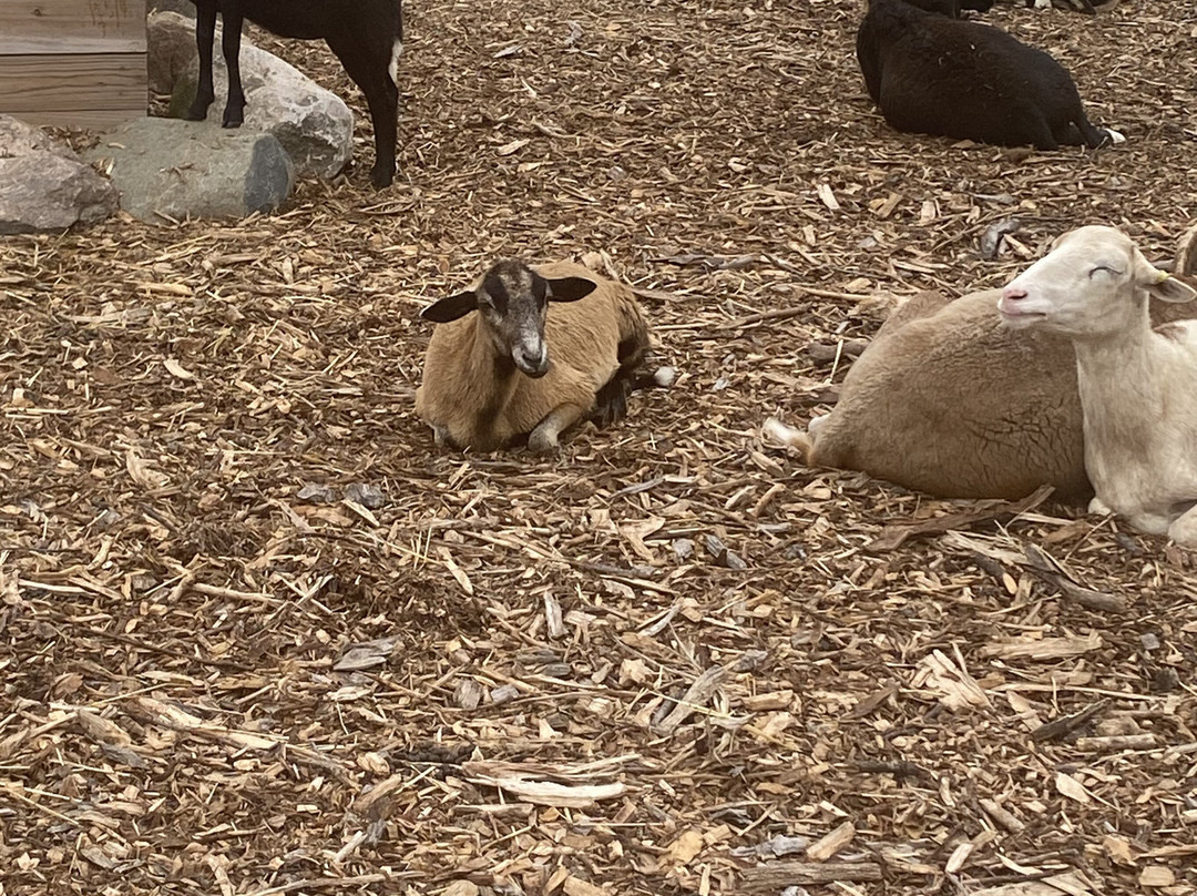 Plymouth Orchard and Cider Mill-普利茅斯必去景点