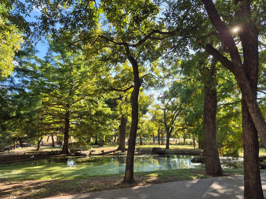 The Falls in Lucy Park景点图片