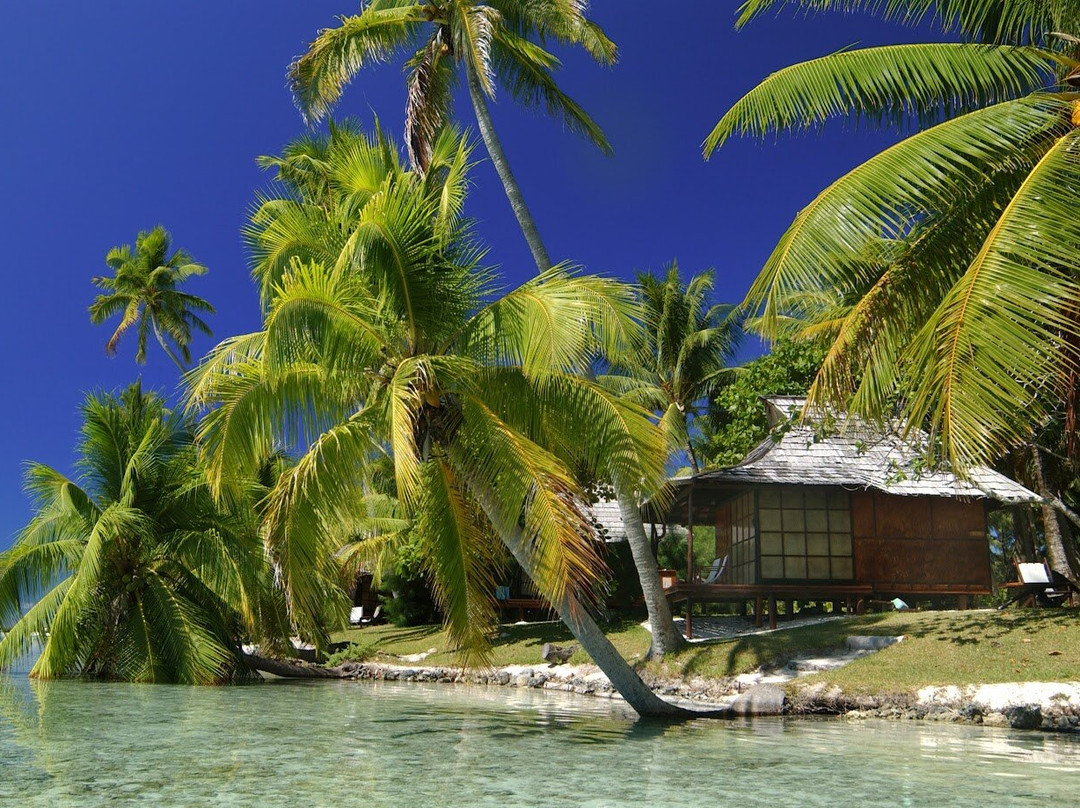 Vahine Private Island主图