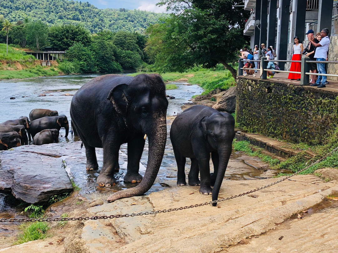 Ceylon Tour Driver景点图片