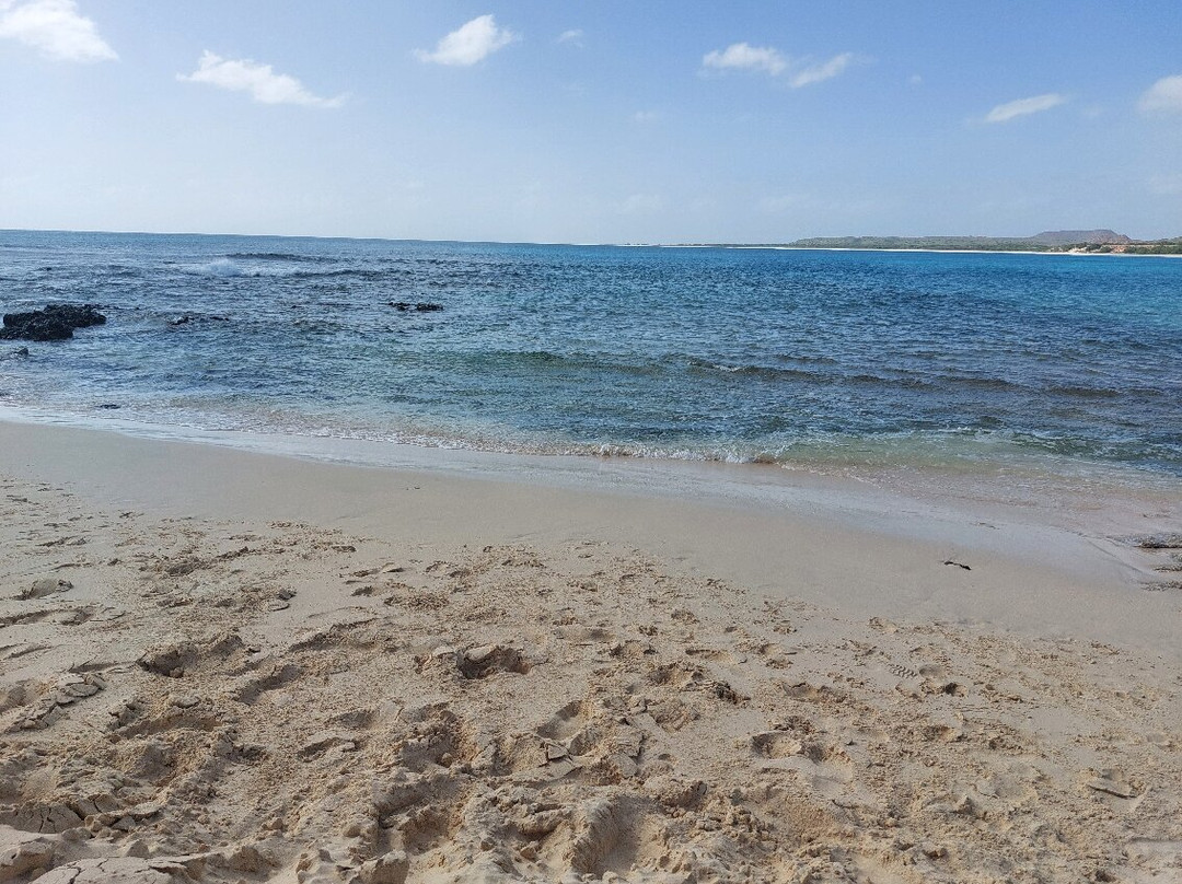 Ada Tours-博阿维斯塔必去景点