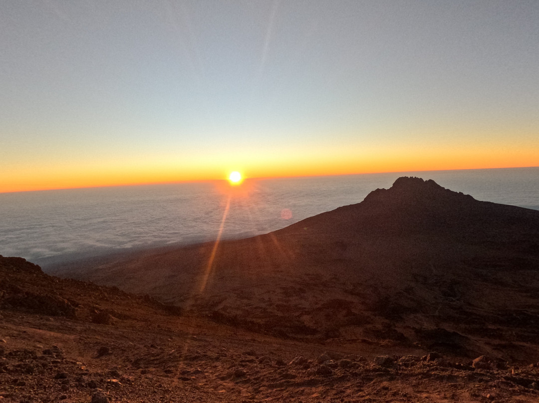 Moja Africa Experience-莫西必去景点