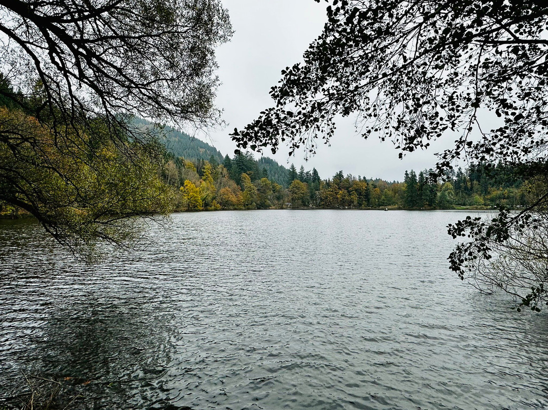 Bergsee-Bad Sackingen必去景点