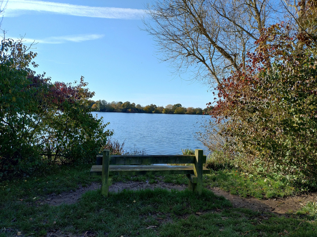 Ferry Meadows in Nene Park景点图片