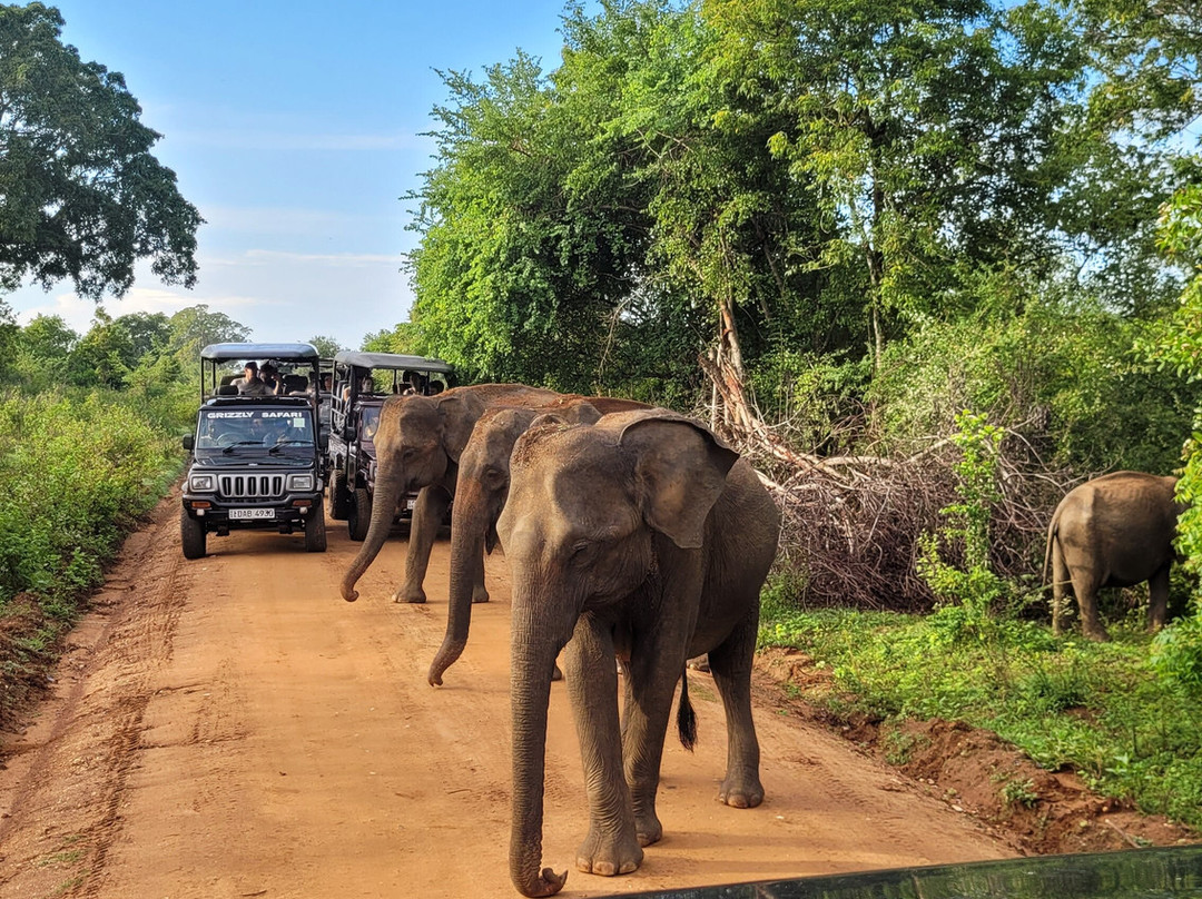 ECO TAXI Ella-埃勒必去景点