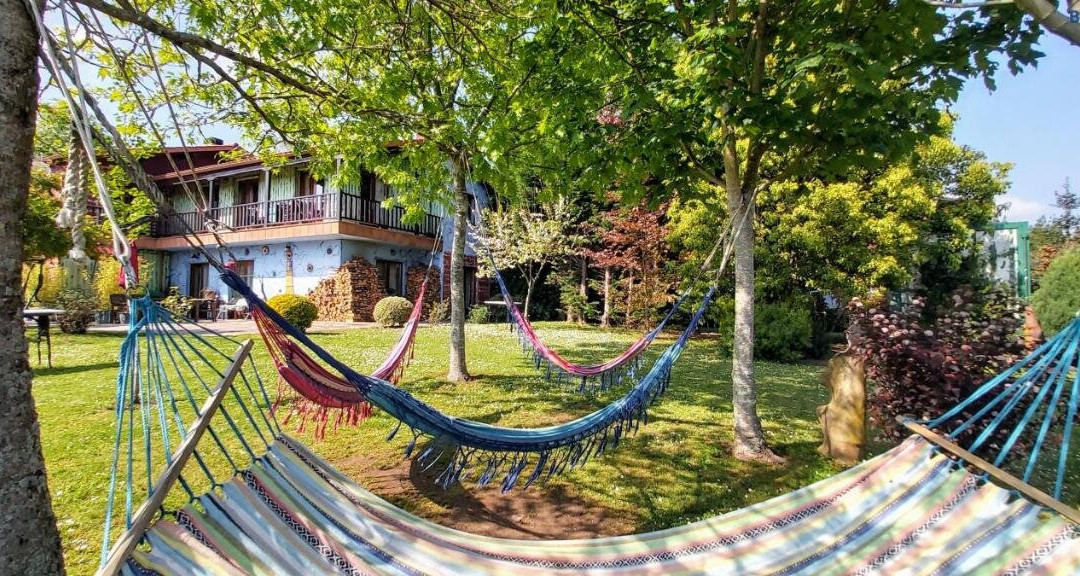 Apartamentos Rosa Jove