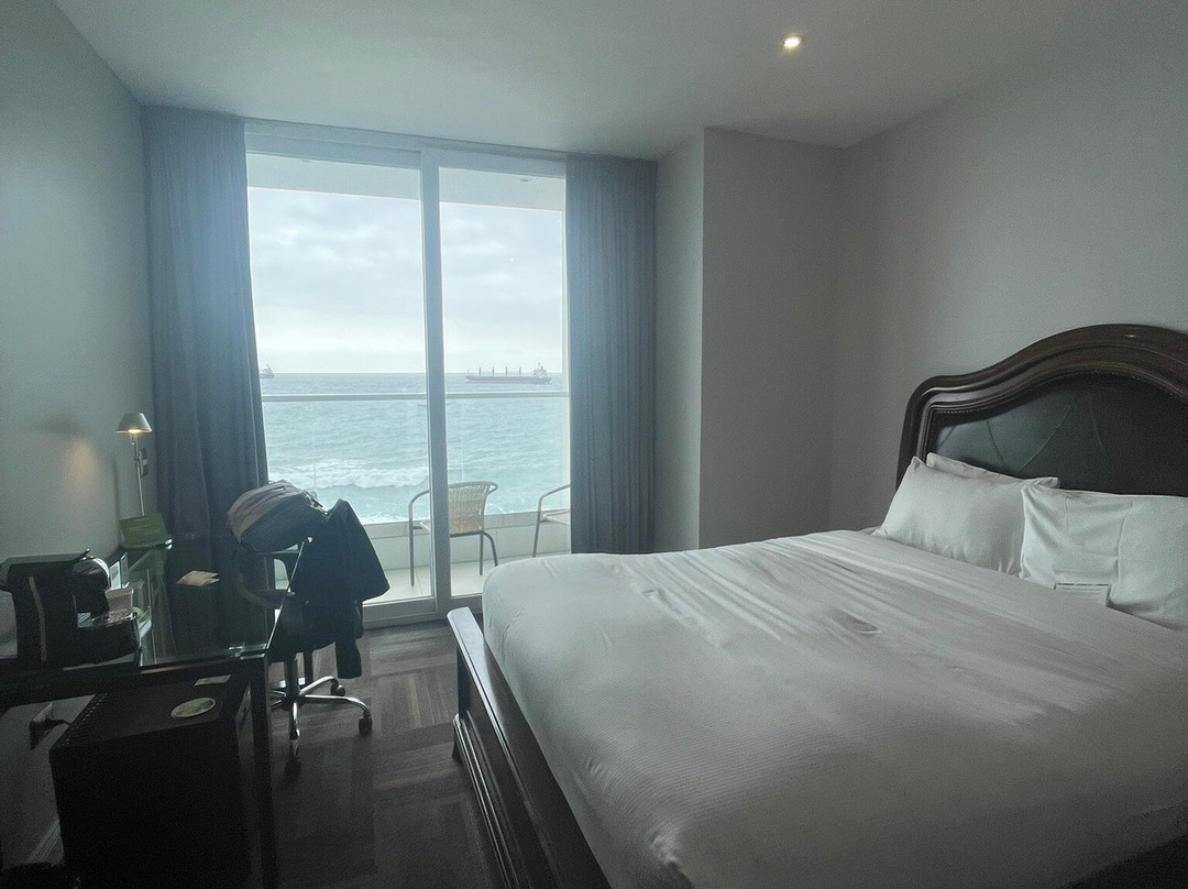 Wyndham Garden Antofagasta Pettra主图