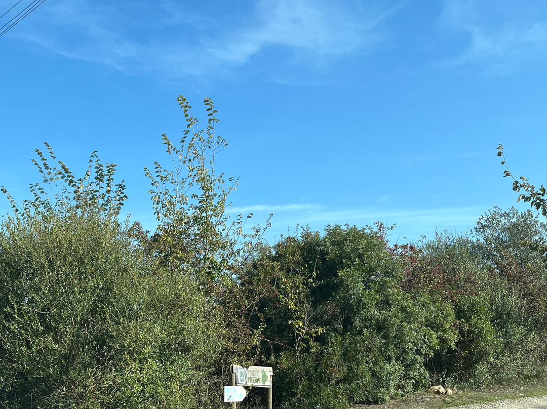 Azienda Agricola Invidia-皮恩扎必去景点