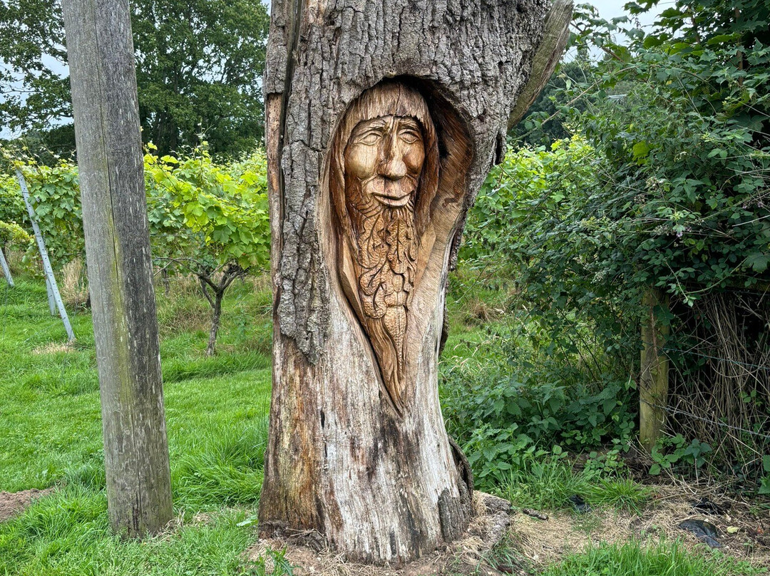 English Oak Vineyard景点图片