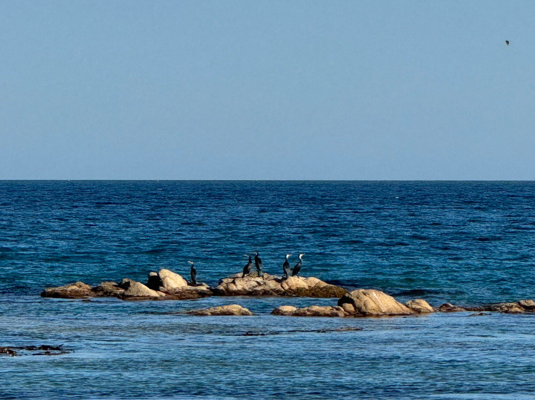 Lazo State National Park of Kalpanov-海参崴必去景点
