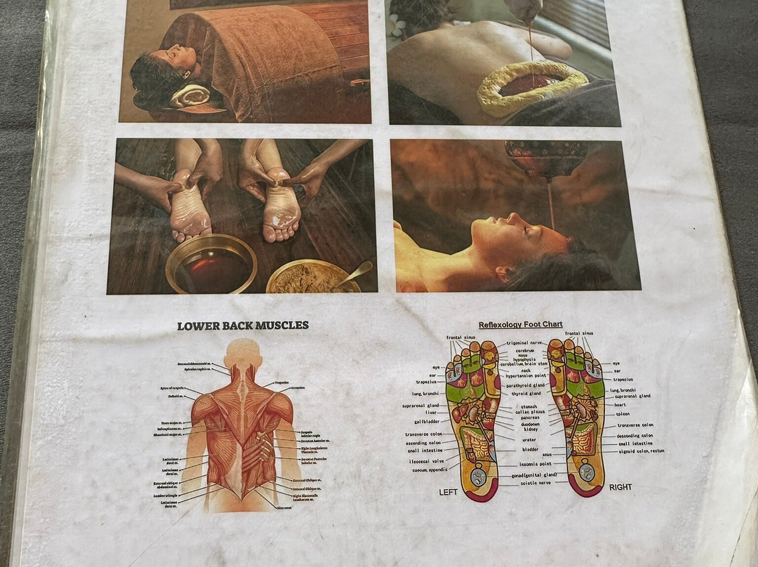 Princess Spa & Wellness By Ella Sri Lanka