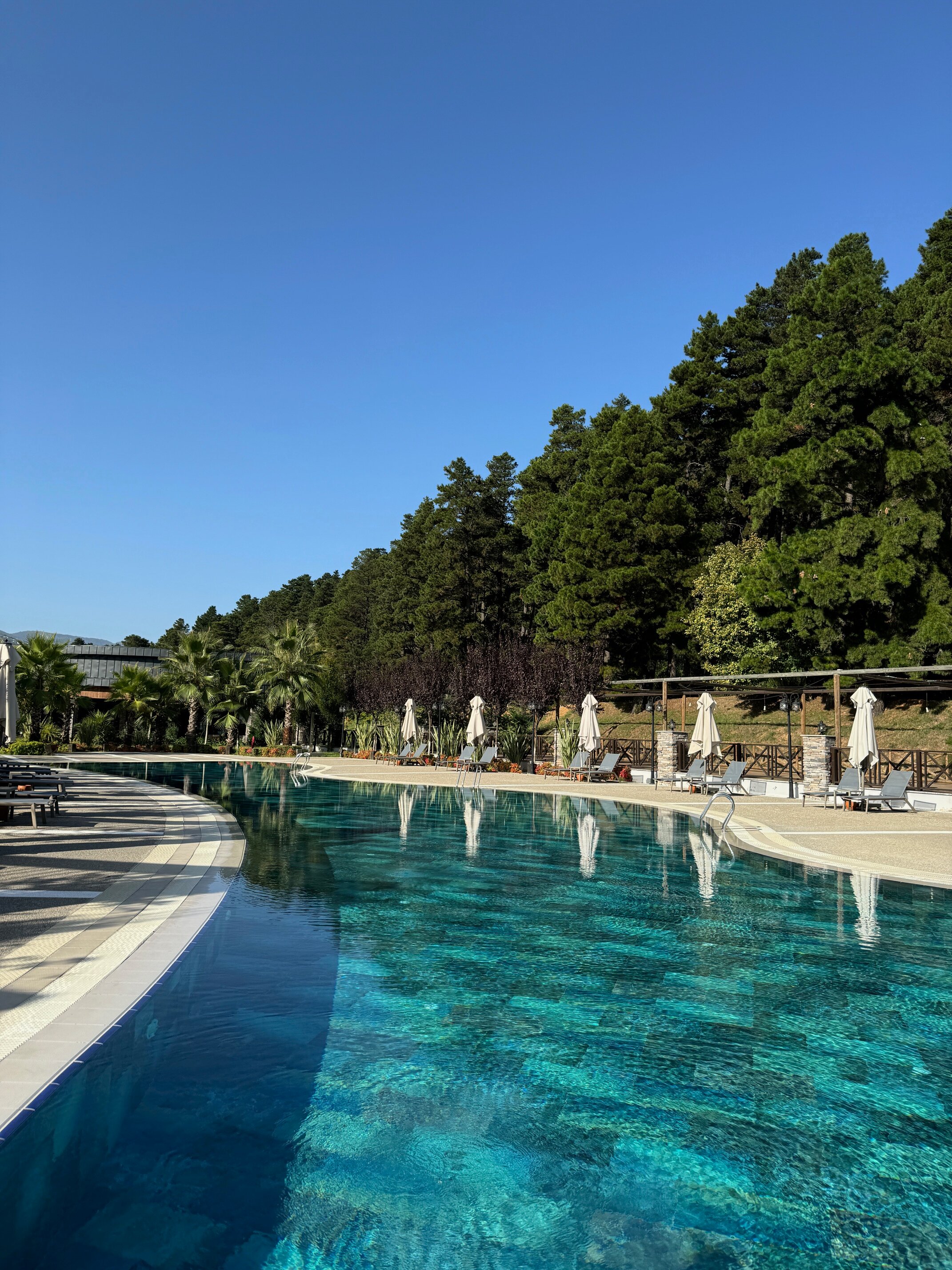 Elite World Grand Sapanca-泳池