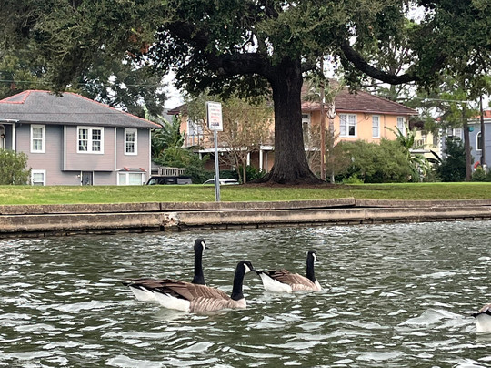 Kayak-iti-Yat Original Kayaking Tours of New Orleans-新奥尔良必去景点