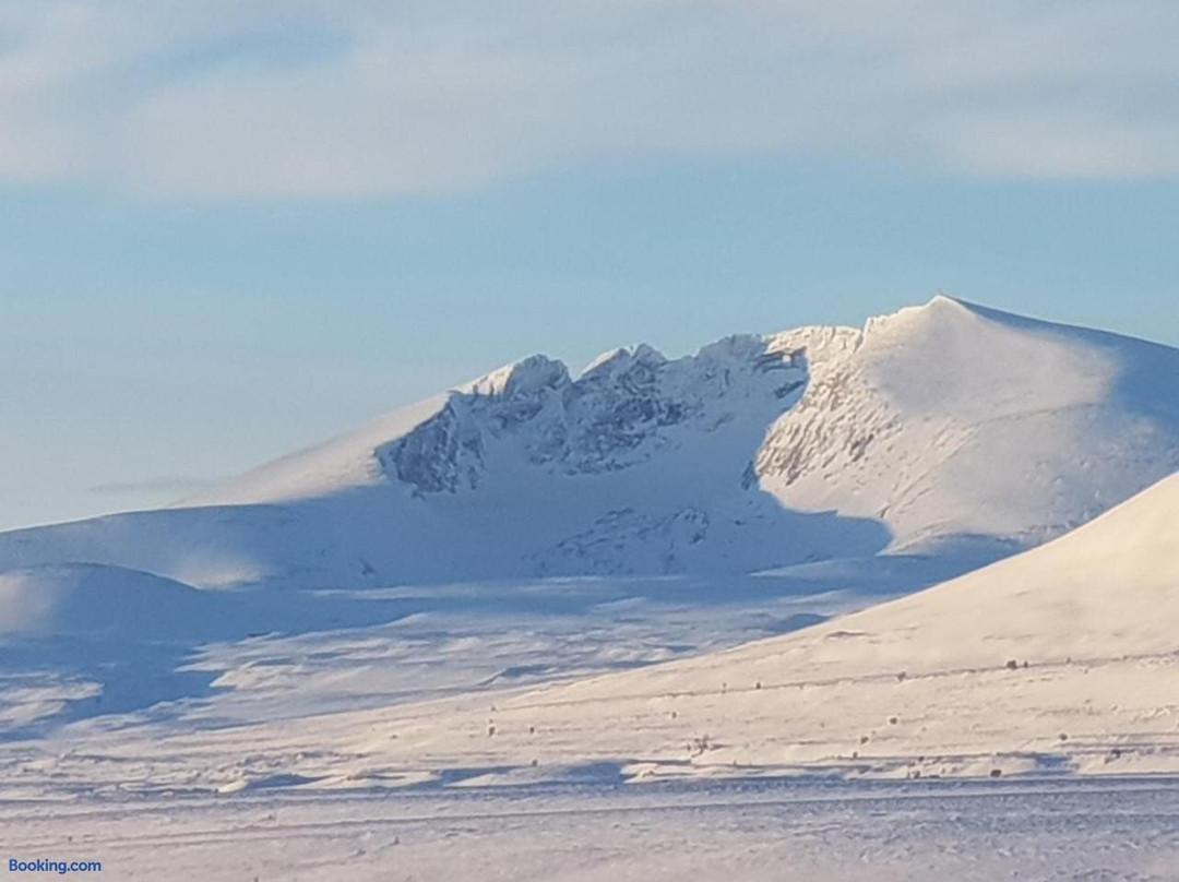 Snøhetta Camping