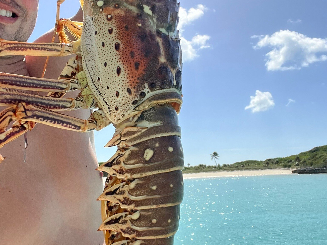 Catamaran Adventure Charters-迈阿密必去景点