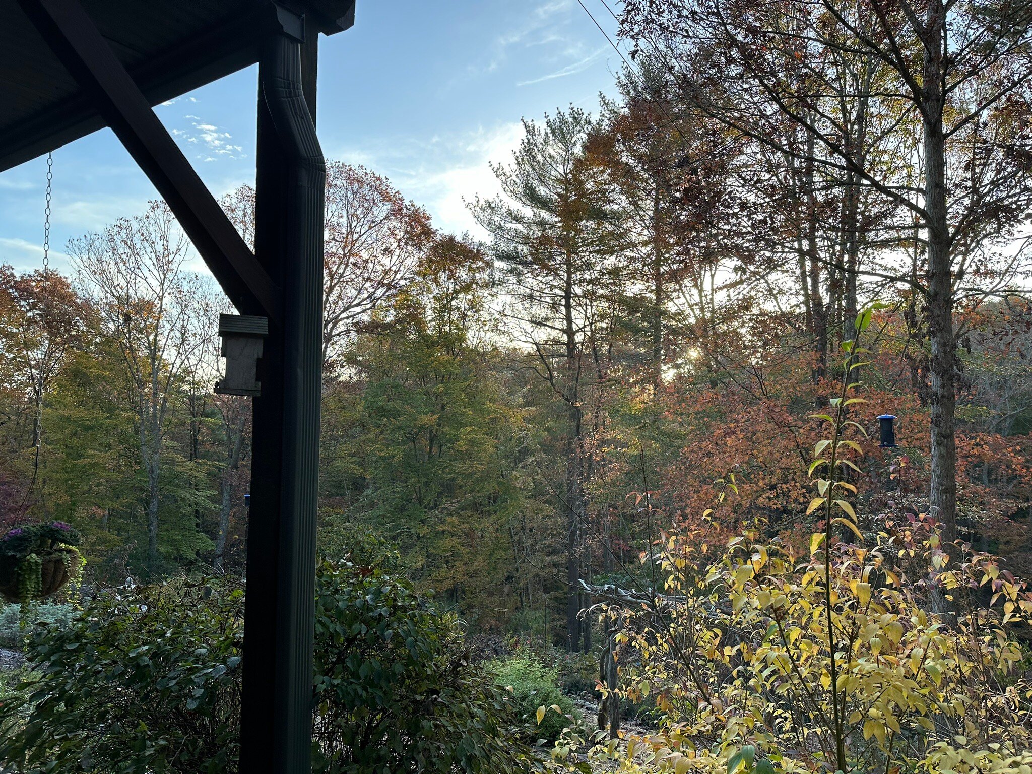 Bent Creek Lodge-官方