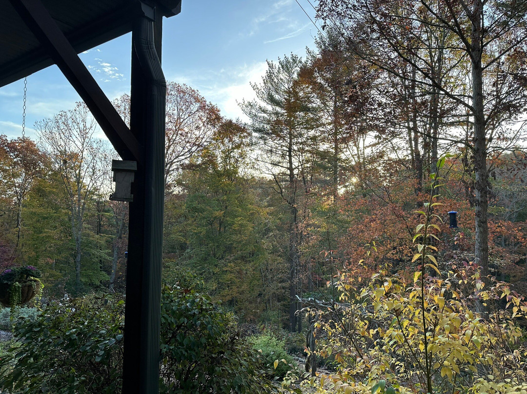 Bent Creek Lodge主图