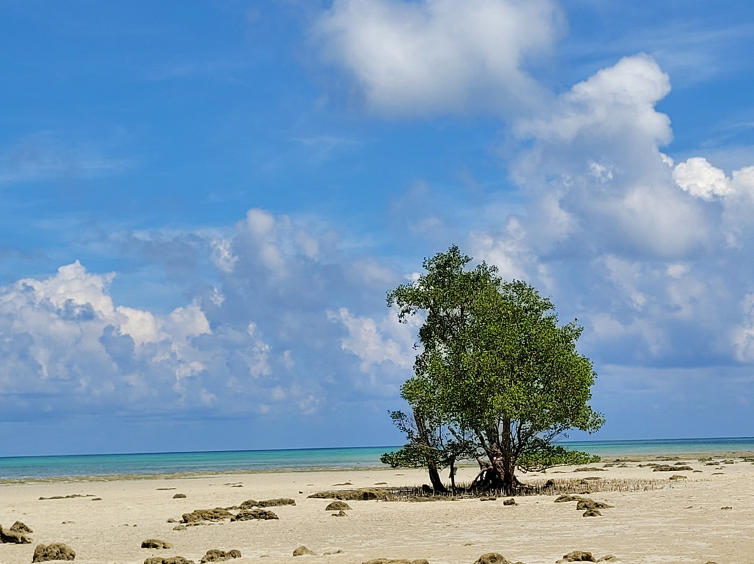 Dolphin Resort主图