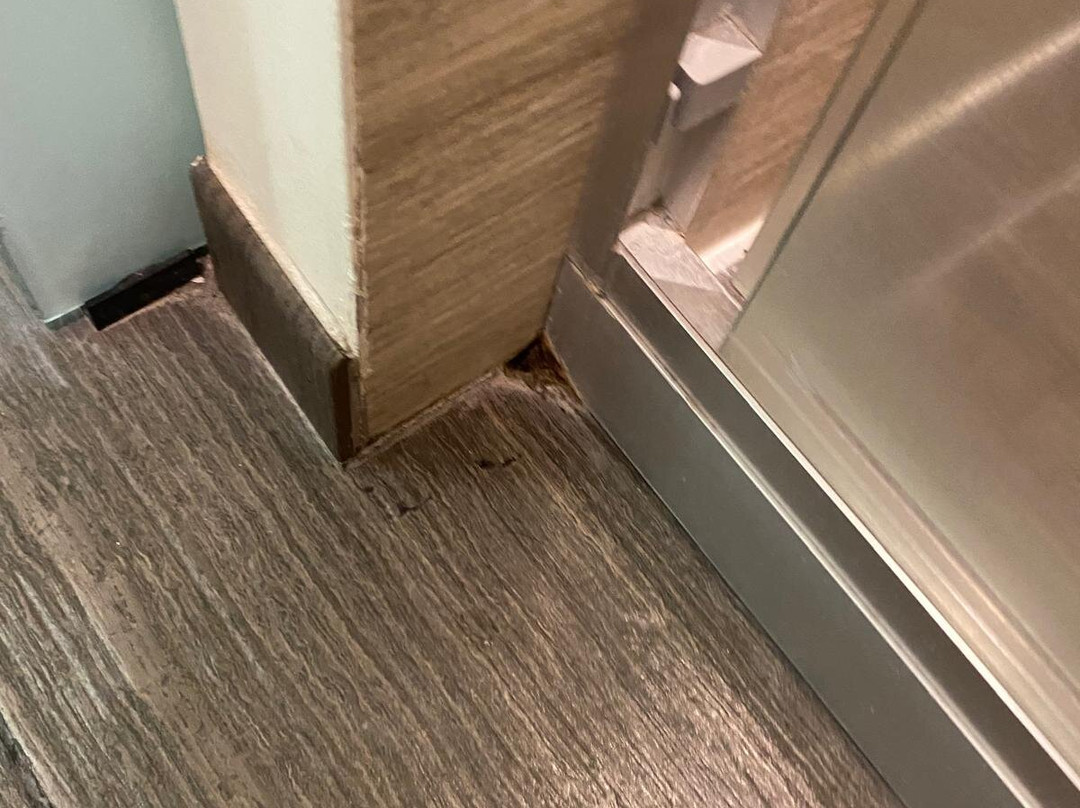 Hampton Inn by Hilton Leon Guanajuato主图