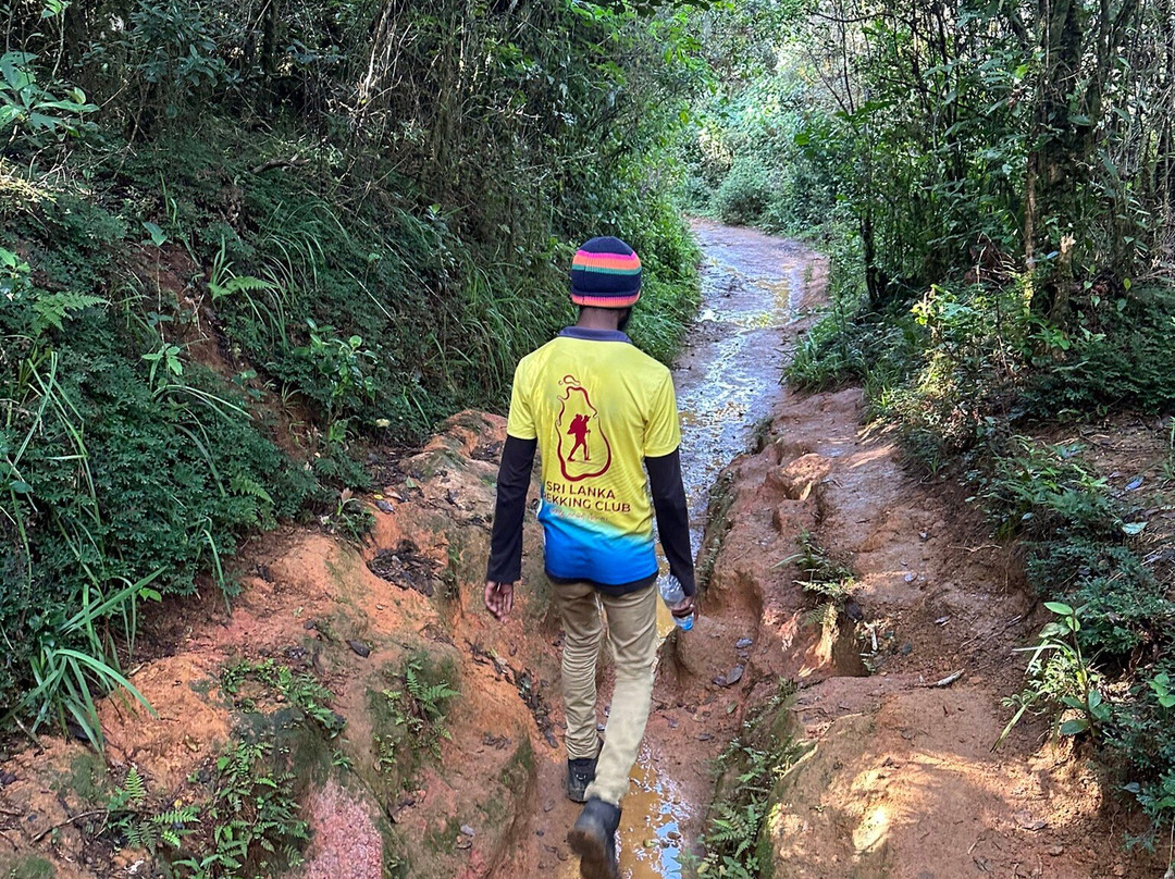 Sri Lanka Trekking Club-班达拉维拉必去景点