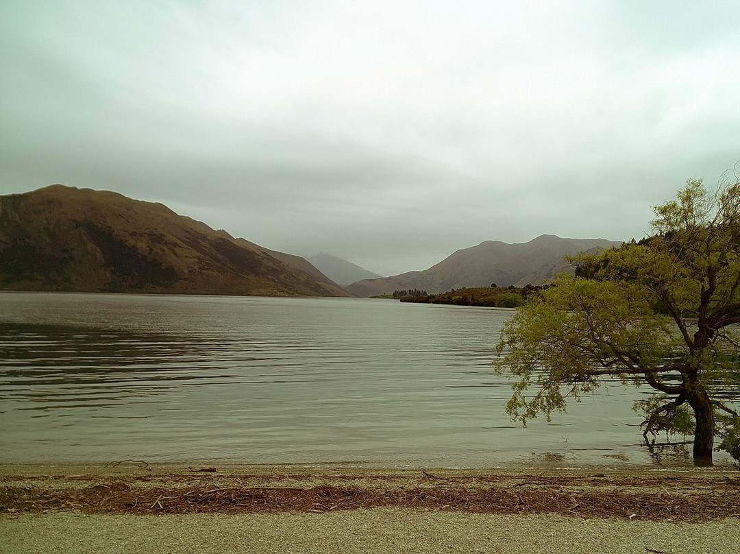 Wanaka Wine Tours-瓦纳卡必去景点