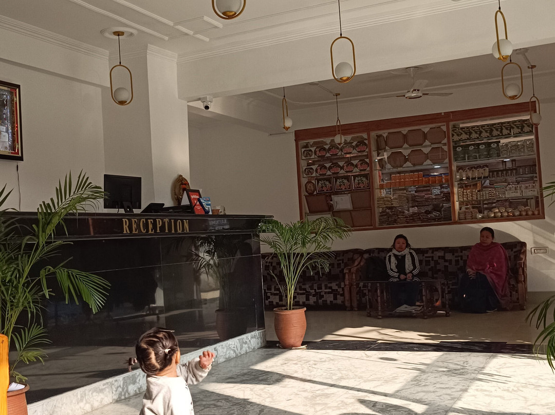 Hotel Maha Luxmi Palace主图